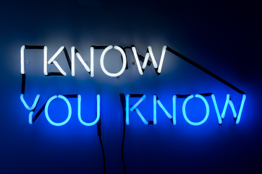 Who-Knows---Tim-Etchells---Neon-2014---Image-Courtesy-of-the-Artist-72-dpi-003